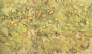 Vincent Van Gogh A Field of Yellow Flowers (nn04) USA oil painting reproduction